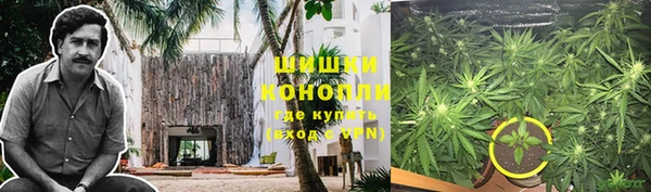 дурь Горнозаводск