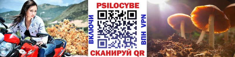 Псилоцибиновые грибы ЛСД  купить закладку  Шарыпово 